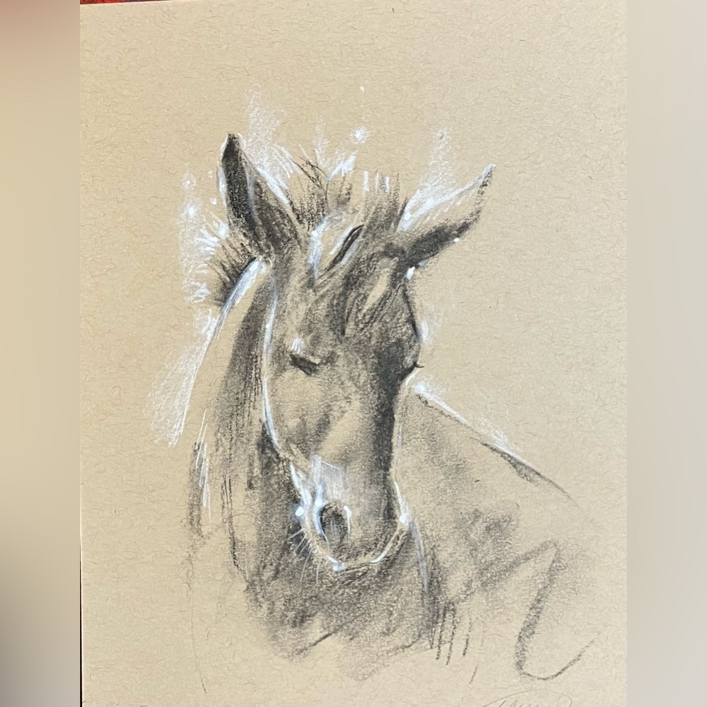 Original Western colt Charcoal Pastel horse Art equestrian illustration Ettina